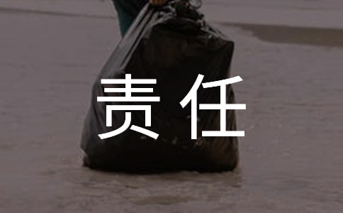保密工作責(zé)任書