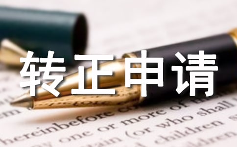 有關(guān)保安隊長轉(zhuǎn)正申請書范文