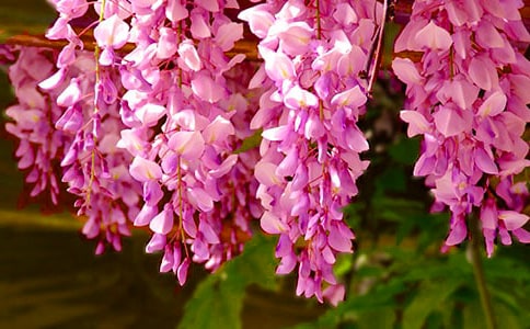 �������ٻ��_��Ư���Ķ̾�