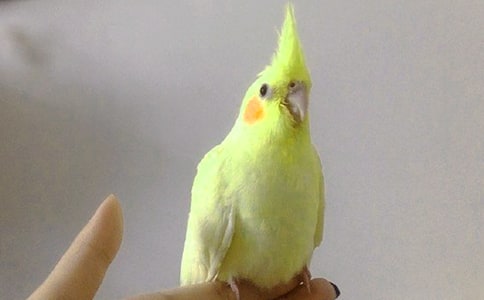 �W�^����