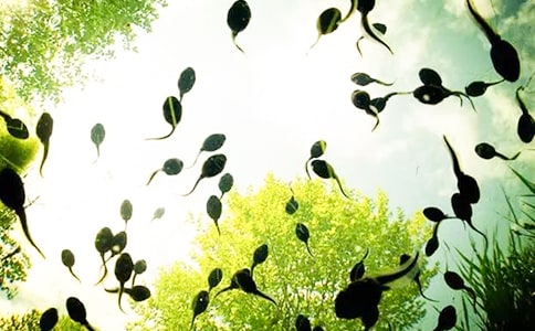 С����ҋ����Ĺ���15ƪ����(y��u)�x��