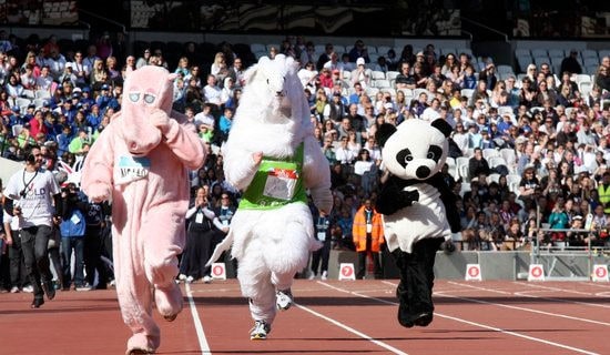 (��(y��u)��)�\(y��n)��(d��ng)��(hu��)Ͷ��