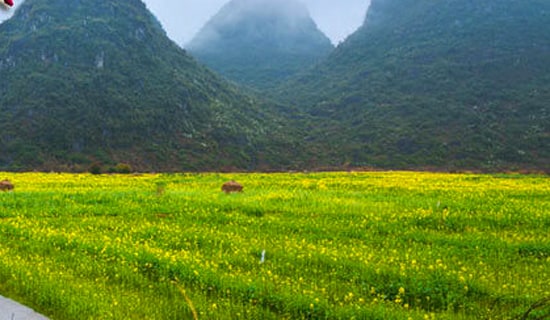 ��(y��u)�㴺������