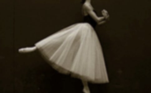 �P(gu��n)�ڰ����������6ƪ