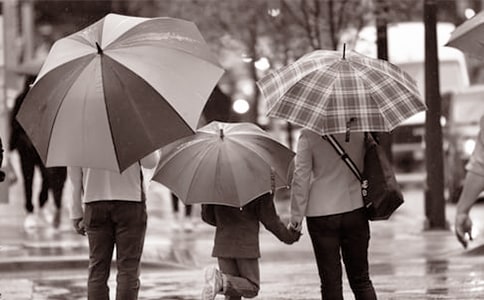 給爸爸媽媽的一封信精彩