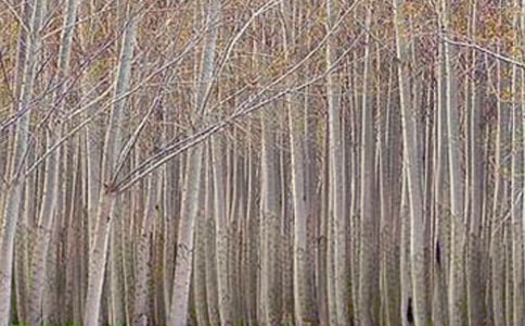 �ח��f�n��