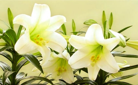 ���ٺϻ��_(k��i)���x���