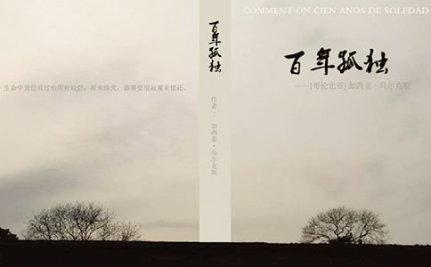 《百年孤獨(dú)》讀后感600字