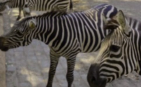 �а���R���g(sh��)���(d��ng)�̰�