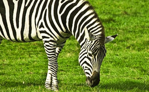 �P�ڶY׌���R��������3ƪ