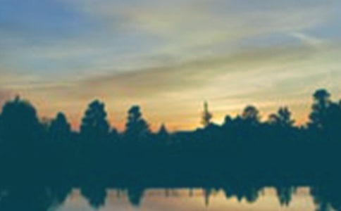 ����İ�������12ƪ