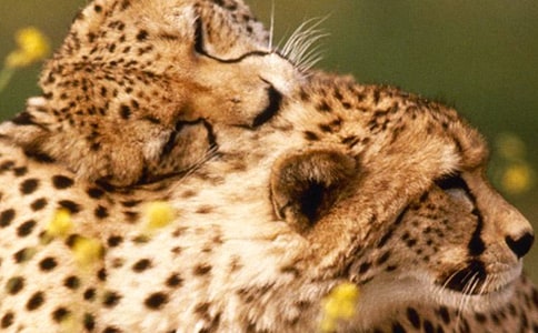 ��������(zh��n)_900��