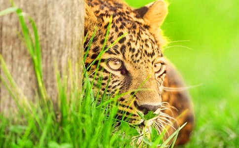 ��ʮ�f��܊���^���˷Q�����^����һˮ�G����������