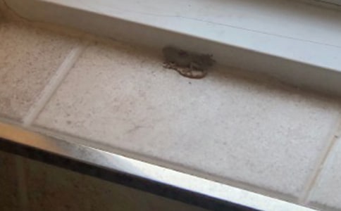 С�ڻ�ؐؐ��С�ͯԒ����