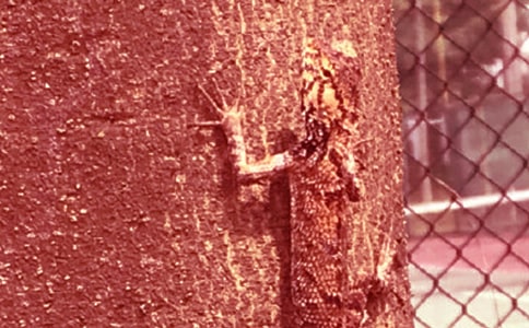 �ڻ���(y��u)������