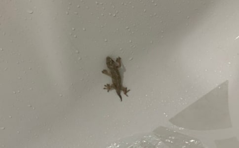 С�ڻ���β�ͽ̌W��˼