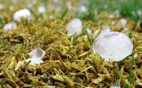 下冰雹作文五年級