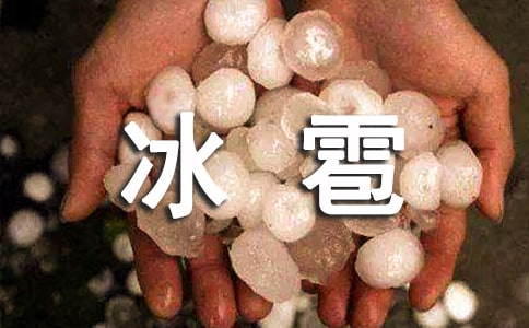 �±���������