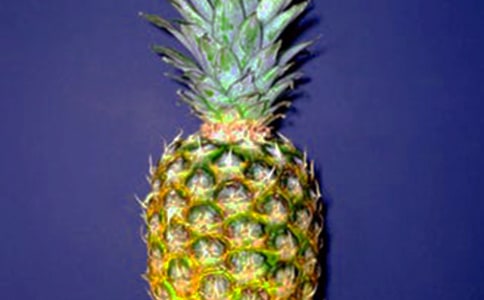 ���}������С�W(xu��)������