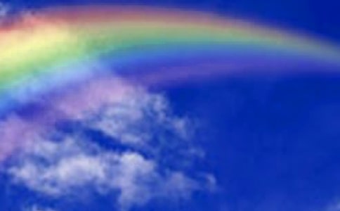 風(fēng)雨過后是彩虹作文