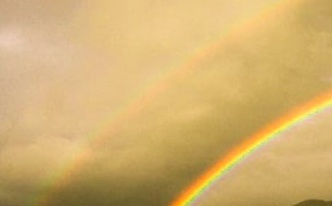 �L���Ĳʺ�����