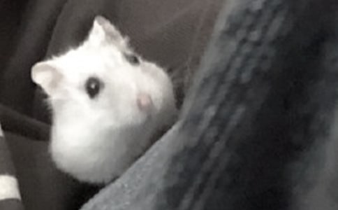 �}���^����ӛ���]��