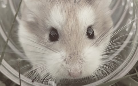 �ҼҵĂ}��200������