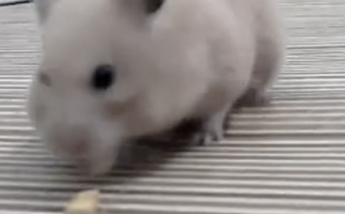 �}���^����ӛ����