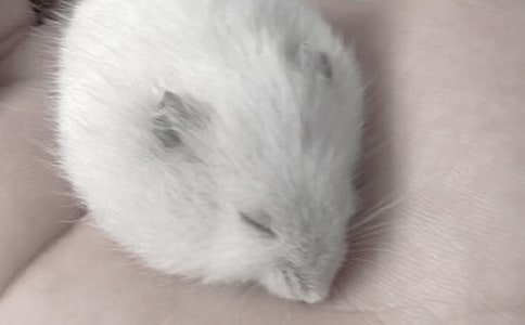 �}����^����ӛ