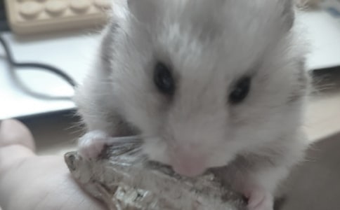 �}���^����ӛ(ͨ��15ƪ)