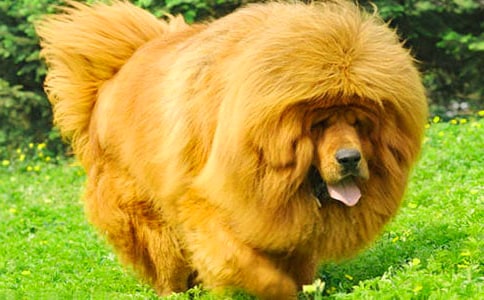 �����ᡷ�x���