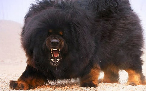 �x�����ᡱ�и�(15ƪ)