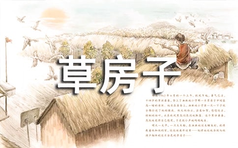 讀《草房子》有感800字