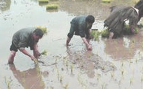 ��(sh��)�õĲ�������400��