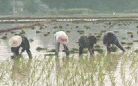 �������sС�W(xu��)������