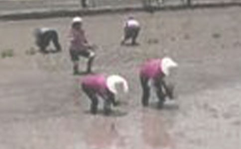 ���������̰�