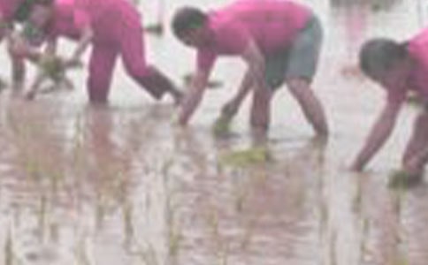 ���������w�(y��n)��������