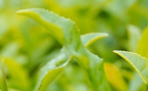 ���õĲ��~��(chu��ng)�I(y��)����