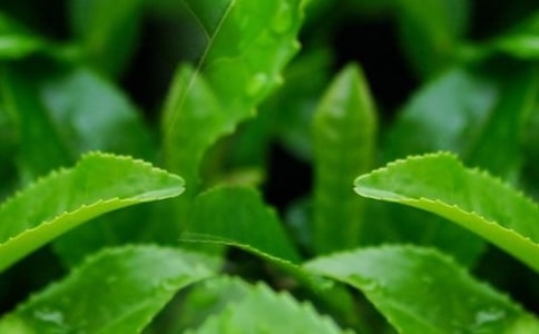 �J(r��n)�R(sh��)���~