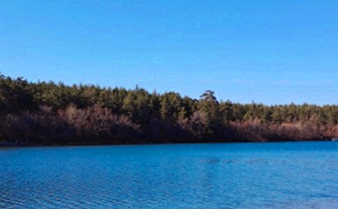 �L��ɽ��ӛ����