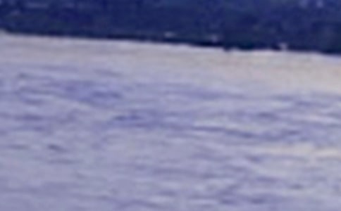 �L��������