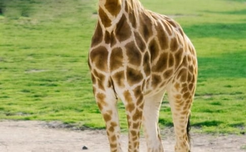 �P(gu��n)���L(zh��ng)�i¹������