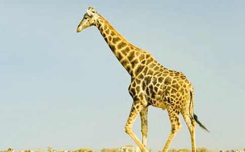 �а����g(sh��)���(d��ng)�L(zh��ng)�i¹�̰�