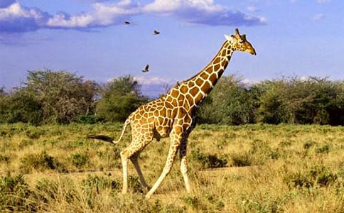 ������g(sh��)���L�i¹���̰�