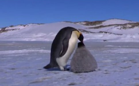 �x����Խ�����Đ�(��i)���и�_�P(gu��n)�ڋ�������