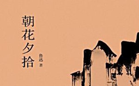 朝花夕拾讀書(shū)筆記2000
