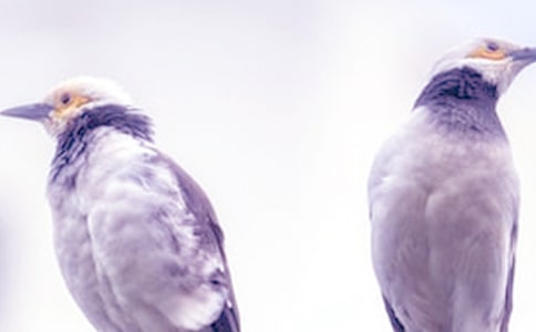 吵架后寫給媽媽的一封信(通用6篇)