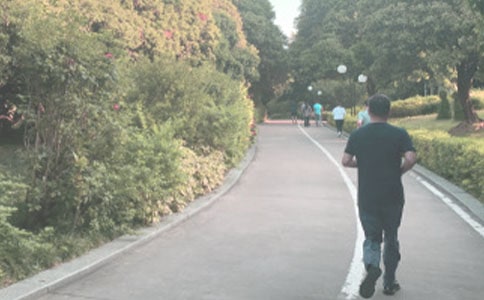 �����t���zӑ���R��15ƪ