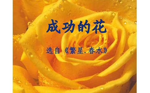《成功的花》讀書筆記