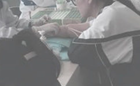 ��ѪС�W����